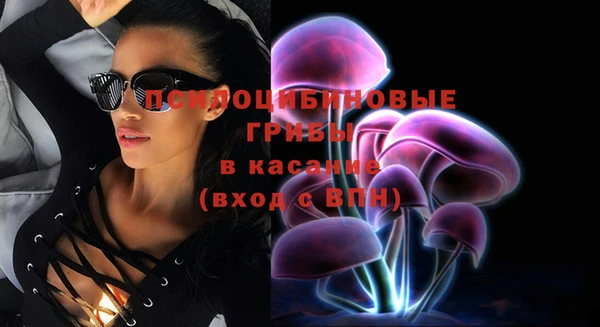 дурь Аркадак