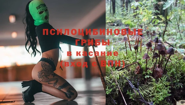 дурь Аркадак