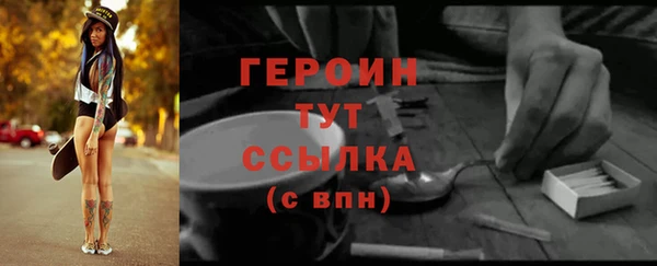 прущий лед Новозыбков