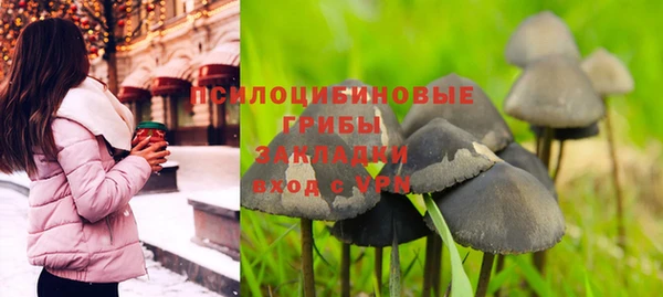 2c-b Армянск