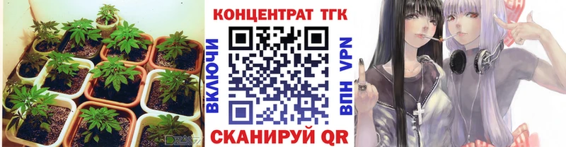 ТГК гашишное масло  Купить закладки  Биробиджан 