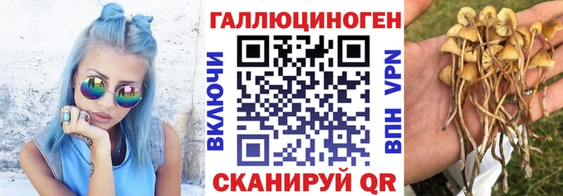 Купить где  Биробиджан  Псилоцибиновые грибы GOLDEN TEACHER 